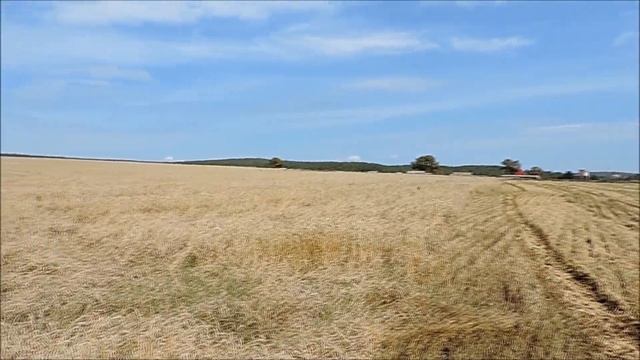 "РАЗДОЛЬЕ РУССКОЕ" смотреть онлайн