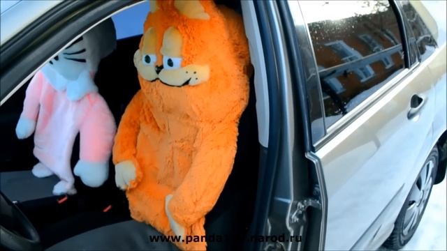 Чехлы Гарфилд смотреть онлайн