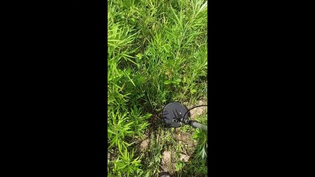 ПОИСК ПО ПОЛЮ С MD 4030 ХОРОШАЯ ПОКУПКА?! смотреть онлайн