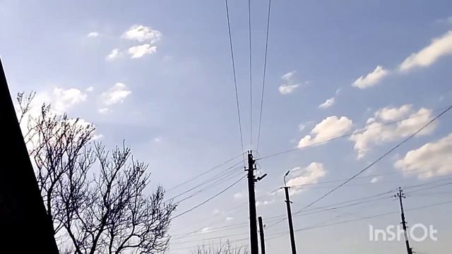 Весна пришла. Красивый полет голубей. Куры