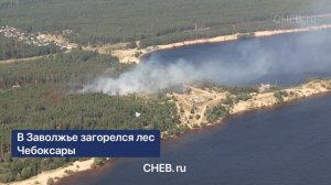 В Заволжье загорелся лес, Чебоксары. Июнь 2021