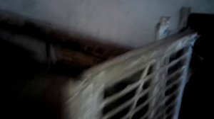 как бороться с крысами!!! ( личный опыт).