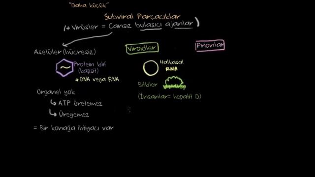 Subviral Parçacıklar: Viroidler ve Prionlar (Biyoloji / Hücreler) смотреть онлайн