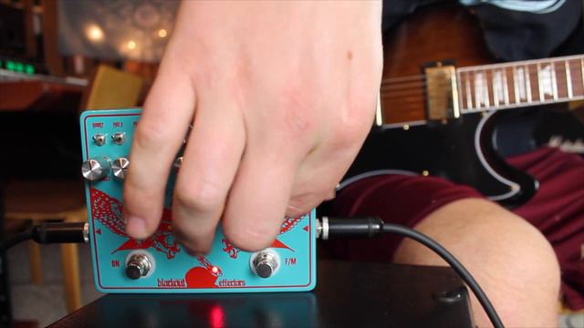 Blackout Effectors Twosome Fuzz I Shred Shed смотреть онлайн