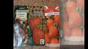 семена овощей фирмы гавриш каталог