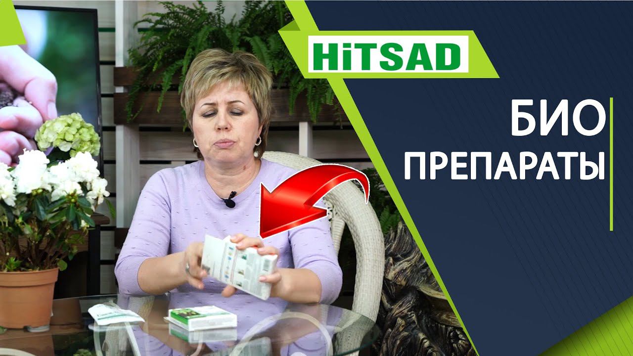 Как применять Глиокладин, Гамаир, Алирин Препараты от вредителей и болезней смотреть онлайн