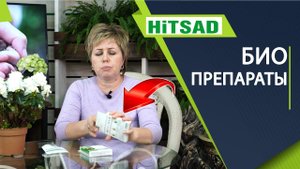 Как применять Глиокладин, Гамаир, Алирин Препараты от вредителей и болезней