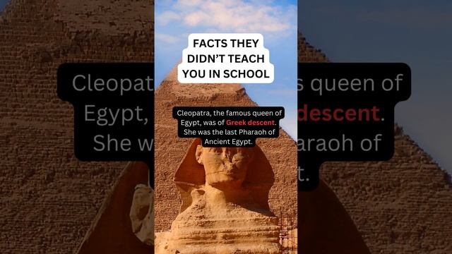 Facts they didn't teach you in school. #facts #factsabout #factsshorts #factsvideo #learning