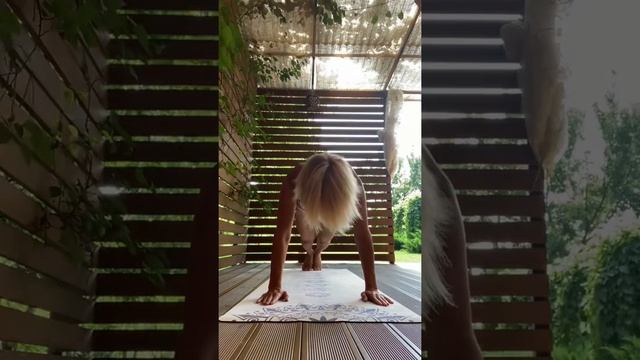 Yoga tame Занятие йогой должно приносить удовольствие. Маленький разминочный  комплекс упражнений!