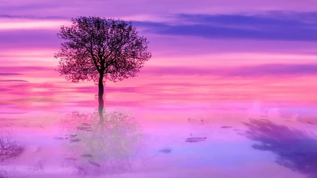 Жизнь в ЗАГРОБНОМ МИРЕ | жизнь в аль барзах | 2-я часть жизнь после смерти | шейх Билял Асад смотреть онлайн