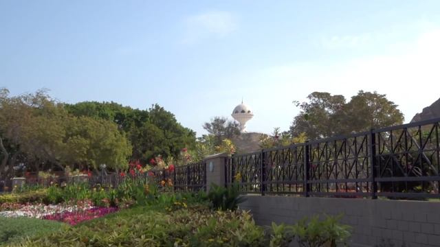 Oman Trips смотреть онлайн