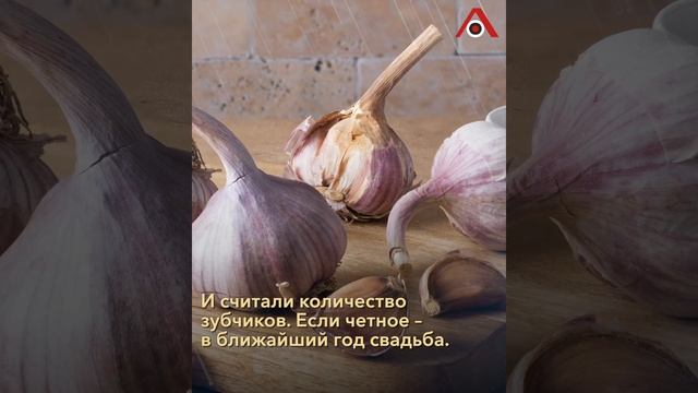 Федор-Студит: ждем вещие сны о женихе