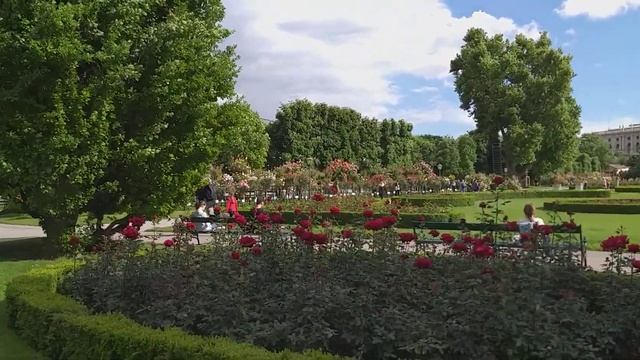 Три тысячи кустов роз цветут в Вене . /Сад роз /Фольксгартен /??? смотреть онлайн
