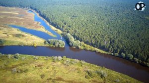 Река Великой Красоты Днепр Быховщины