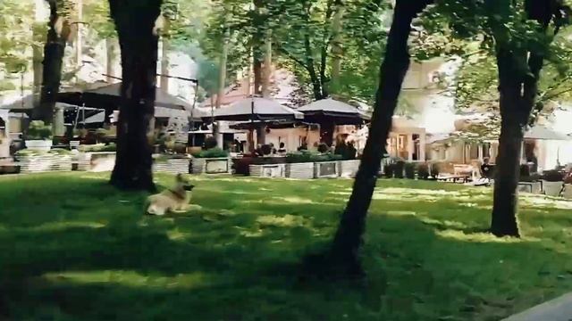 Кисловодский парк | Долина роз | Нарзанная галерея | Семейное путешествие
