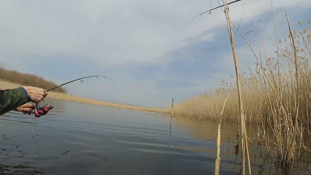 Сезон 2020 после нереста щуки. Рыбалка на Кубани. Попали в жер щуки. Брюховецкий район. Часть 2 смотреть онлайн