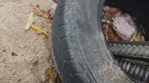 ЗОЛОТО И СЕРЕБРО! СТАЛК ЗА РАДИОДЕТАЛЯМИ!