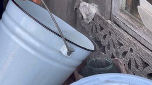 Уход за пчёлами  - даём воду пчёлам.