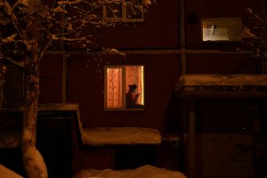 Свет в окне Муз.,исп.,Виктор Обожин,Сл.,ролик Ольга Богдан.mp4