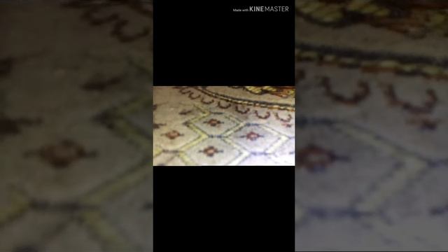 Кошки правят миром смотреть онлайн