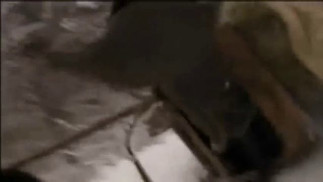 Бежала.wmv смотреть онлайн