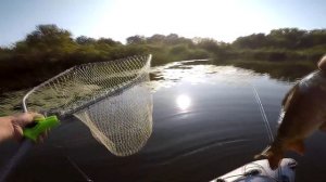 У меня ВОЛОС стал ДЫБОМ. Впервые ЛОВЛЯ бешеного КАРПА на ПОПЛАВОК в ЛИЛИЯХ, Ловля карпа на поплавок