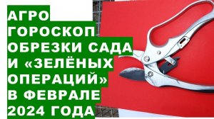 Агрогороскоп обрезки сада, зелёных операций в феврале 2024Agrohoroscope of garden pruning in Februar