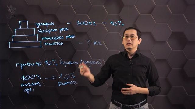 Решение экологических задач и экологических ситуаций. 11 класс.