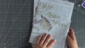 Скрапбукинг.Вышивка. Алиэкспресс. Бусинокнет. Покупки.