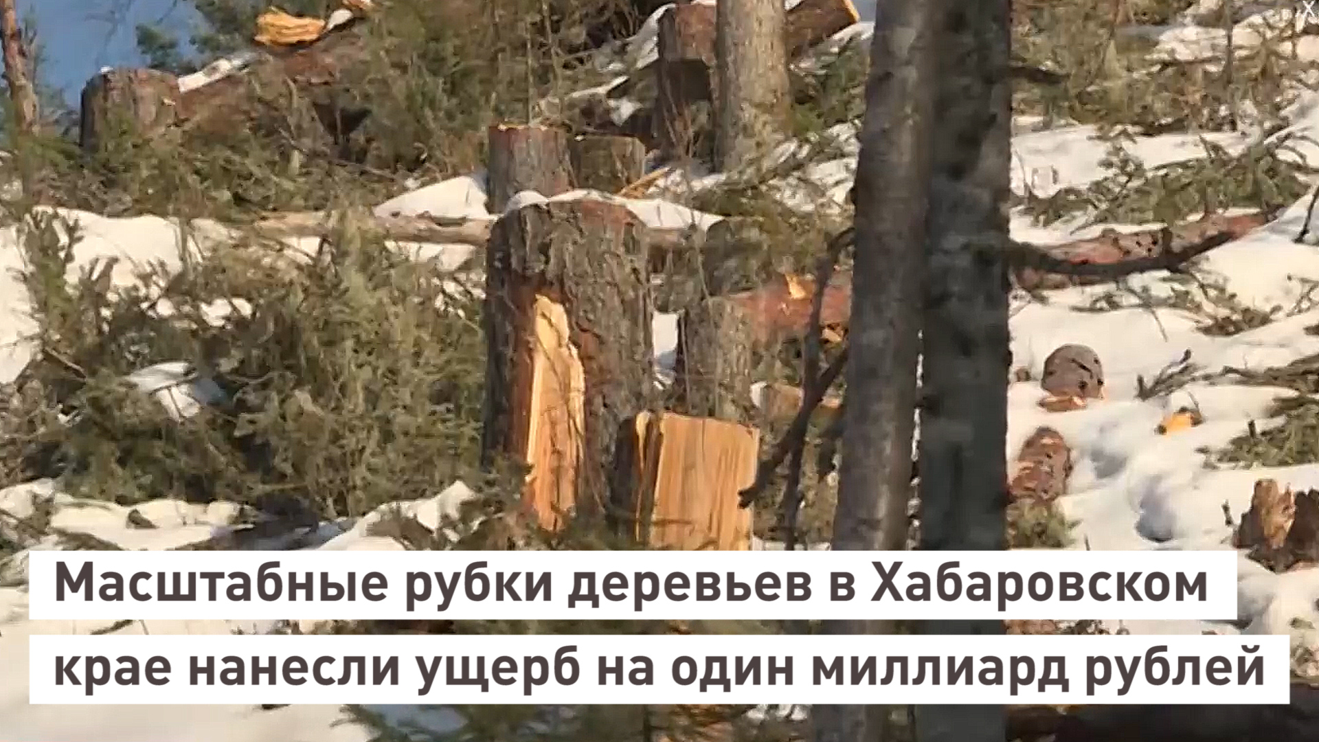 Экологическая карта хабаровска