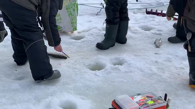 Онлайн спорт зона 01.03.21 смотреть онлайн