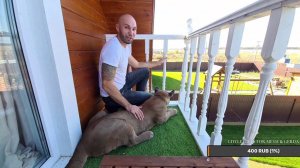 Прямой эфир 4 октября