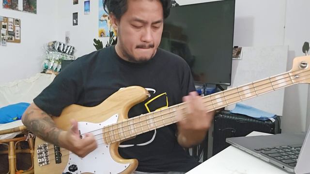 Cant Stop Bass Cover #basscover #flea #funk #rhcp #cantstop смотреть онлайн