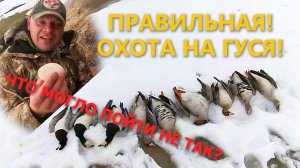 Охота на гуся. Остров Сенгейский goose hunting