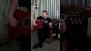Молдавская весёлая