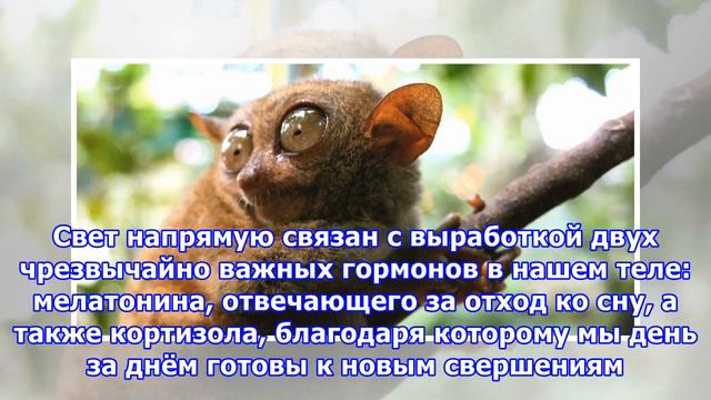 Как телефоны портят нам сон смотреть онлайн