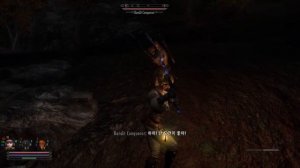 스카이림 LE 펄로워 2B Skyrim LE follower 2B