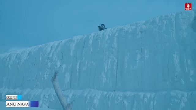 Dhaturo, Jigar Thakor NewSong | Shiv Bhajan, Chandu Raval, Sawan Special Songs 2022, Bhole Nath Son смотреть онлайн