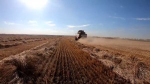 Уборка урожая 2022.Поехали подбирать твёрдую пшеницу.Зерноуборочный комбайн Акрос 585.Сельская жизн