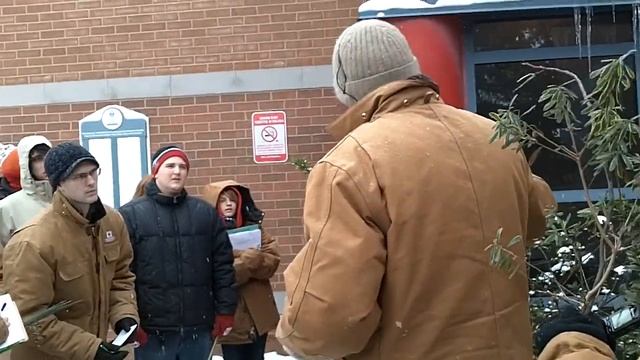 Ilex xmeserveae 'Blue Prince + Blue Princess' (Blue Prince(ss) Holly) смотреть онлайн