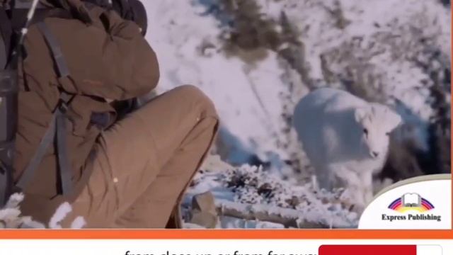 An email describing a hobby Excel 7 p15 смотреть онлайн