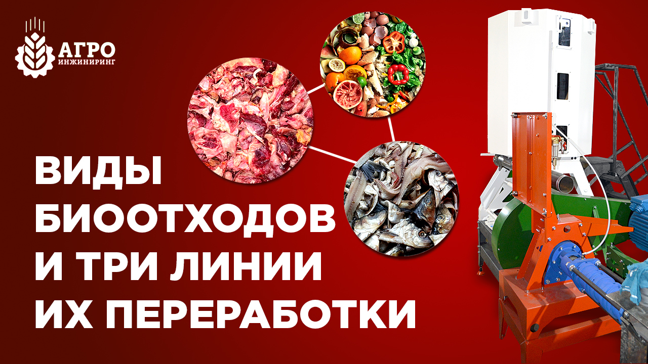 Какие биоотходы можно перерабатывать в корма для животных. Обзор линий переработки биоотходов.