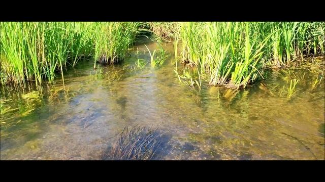 Два Серёги .