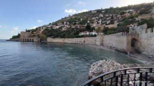 Аланья пляж у Красной башни и его морские обитатели