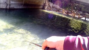 Турция. Рыбалка в Турции 2019. Форель. Парк Ботаник. Улюпинар.