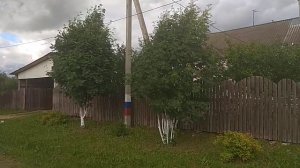 Посёлок Тоншаево Нижегородской области. Гуляем по посёлку. Новый ФОК.