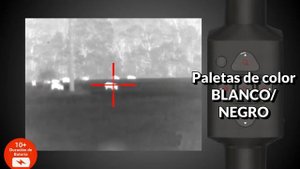 VISOR TÉRMICO ATN MARS LT 320 2 4x