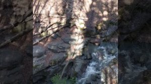 Экскурсия в п. Никитино. Водопад и смотровые площадки, р. Никитинка