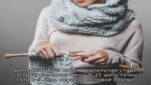 На какой день течки можно вязать собаку