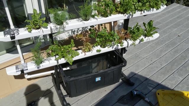 Гидропоника на вешалке ? NFT Hydroponics - Lettuce And Greens ?
